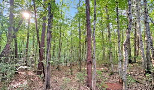 Photo #8 of 7612 Ridge, Tobaccoville, NC 6.7 acres