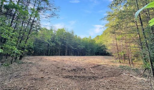 Photo #21 of 7612 Ridge, Tobaccoville, NC 6.7 acres