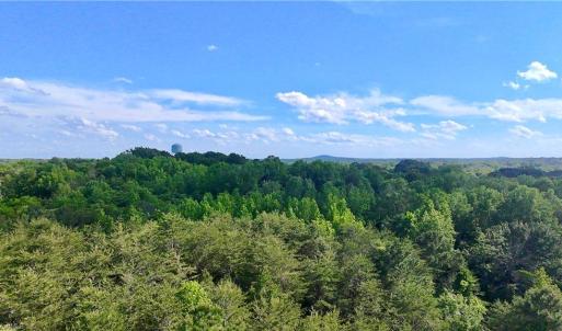 Photo #1 of Oak, Ramseur, NC 1.4 acres