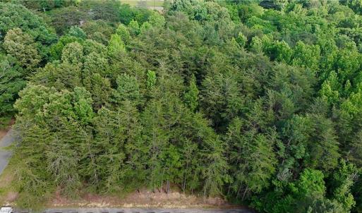 Photo #4 of Oak, Ramseur, NC 1.4 acres