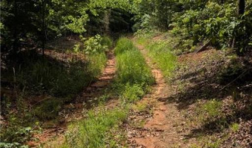 Photo #9 of Enterprise, Lexington, NC 57.7 acres