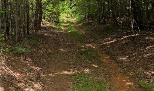 Photo #8 of Enterprise, Lexington, NC 57.7 acres