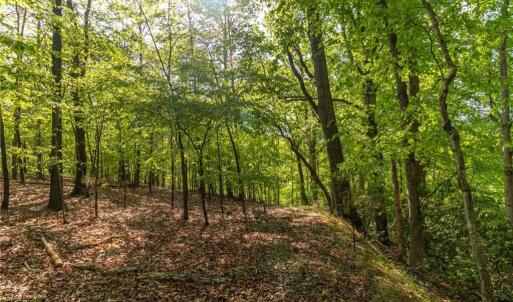Photo #13 of Thayer, Trinity, NC 17.6 acres