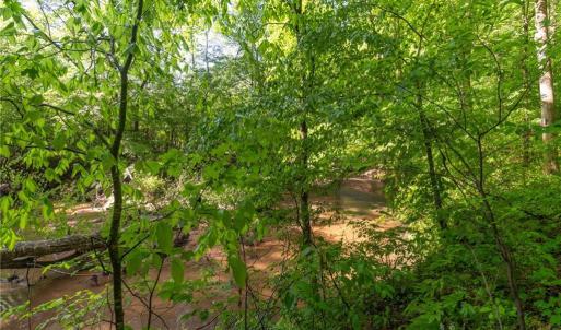 Photo #17 of Thayer, Trinity, NC 17.6 acres