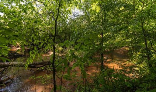 Photo #16 of Thayer, Trinity, NC 17.6 acres