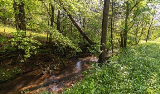 Photo #20 of Thayer, Trinity, NC 17.6 acres