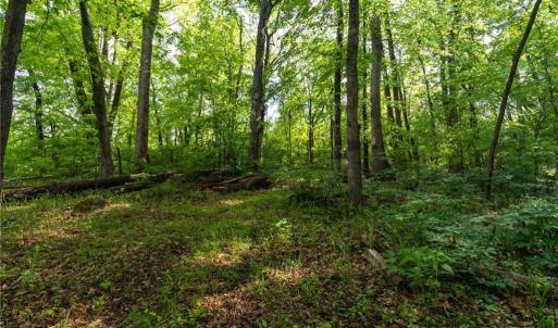 Photo #14 of Thayer, Trinity, NC 17.6 acres