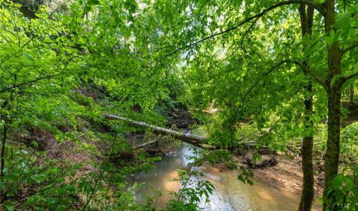 Photo #18 of Thayer, Trinity, NC 17.6 acres