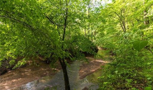 Photo #15 of Thayer, Trinity, NC 17.6 acres