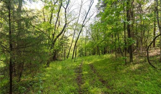 Photo #19 of Thayer, Trinity, NC 17.6 acres