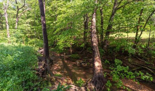 Photo #21 of Thayer, Trinity, NC 17.6 acres