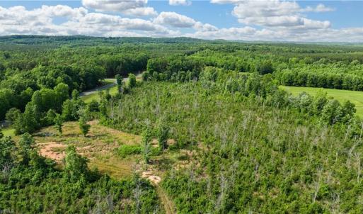 Photo #10 of NC Highway 134, Troy, NC 19.8 acres