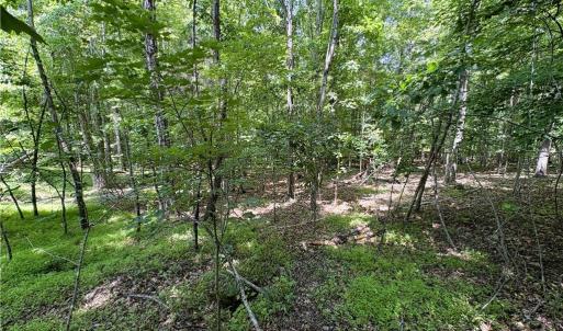 Photo #23 of 357 Pearman, Summerfield, NC 11.5 acres