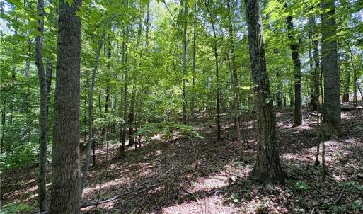 Photo #27 of 357 Pearman, Summerfield, NC 11.5 acres