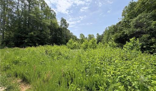Photo #17 of 357 Pearman, Summerfield, NC 11.5 acres