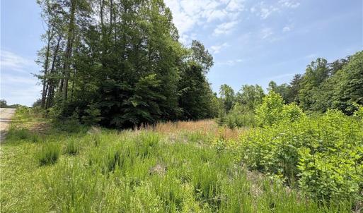 Photo #16 of 357 Pearman, Summerfield, NC 11.5 acres