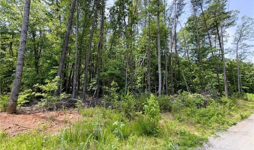 Photo #12 of 357 Pearman, Summerfield, NC 11.5 acres