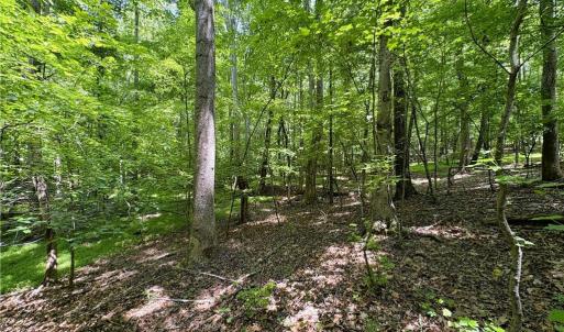 Photo #26 of 357 Pearman, Summerfield, NC 11.5 acres
