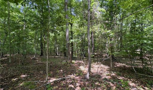 Photo #22 of 357 Pearman, Summerfield, NC 11.5 acres