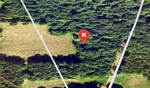 Photo #1 of 357 Pearman, Summerfield, NC 11.5 acres