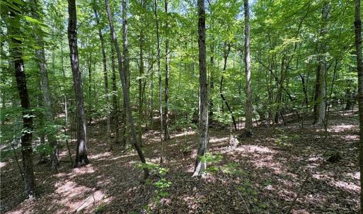 Photo #28 of 357 Pearman, Summerfield, NC 11.5 acres