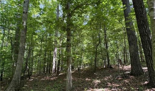 Photo #24 of 357 Pearman, Summerfield, NC 11.5 acres
