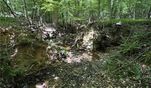 Photo #30 of 357 Pearman, Summerfield, NC 11.5 acres
