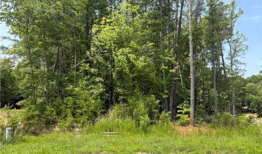 Photo #10 of 357 Pearman, Summerfield, NC 11.5 acres