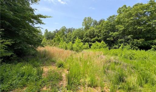 Photo #14 of 357 Pearman, Summerfield, NC 11.5 acres