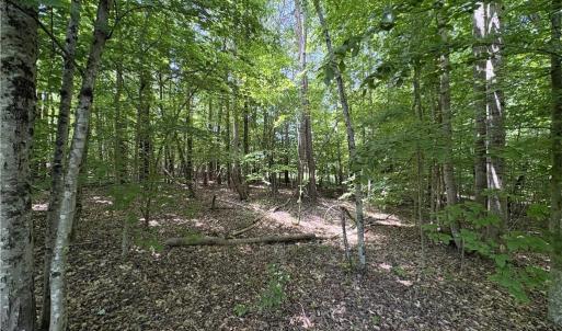Photo #18 of 357 Pearman, Summerfield, NC 11.5 acres
