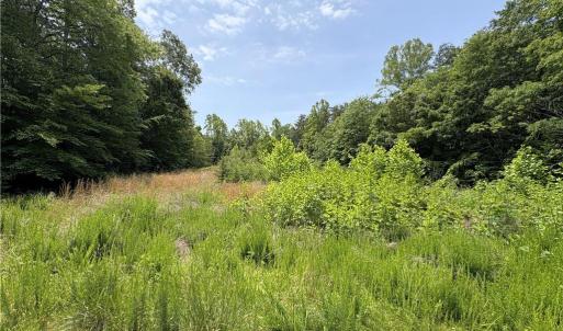 Photo #15 of 357 Pearman, Summerfield, NC 11.5 acres