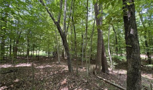 Photo #19 of 357 Pearman, Summerfield, NC 11.5 acres
