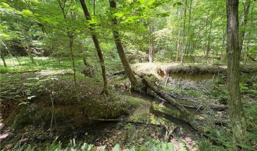 Photo #29 of 357 Pearman, Summerfield, NC 11.5 acres
