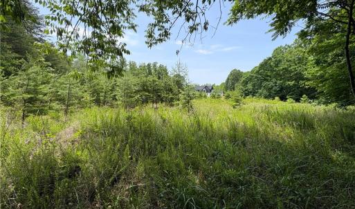 Photo #21 of 357 Pearman, Summerfield, NC 11.5 acres