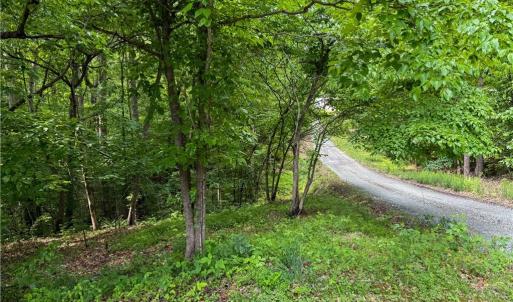 Photo #17 of 144 Jones, Winston-Salem, NC 1.9 acres