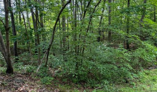 Photo #32 of 144 Jones, Winston-Salem, NC 1.9 acres