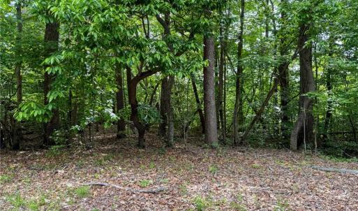 Photo #28 of 144 Jones, Winston-Salem, NC 1.9 acres