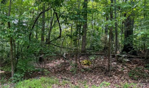 Photo #9 of 144 Jones, Winston-Salem, NC 1.9 acres