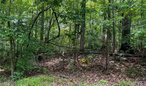 Photo #30 of 144 Jones, Winston-Salem, NC 1.9 acres
