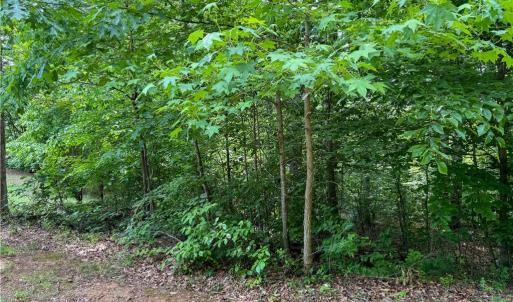 Photo #15 of 144 Jones, Winston-Salem, NC 1.9 acres