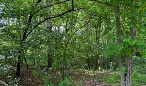 Photo #8 of 144 Jones, Winston-Salem, NC 1.9 acres