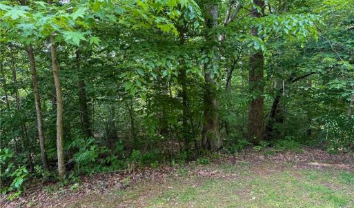 Photo #25 of 144 Jones, Winston-Salem, NC 1.9 acres
