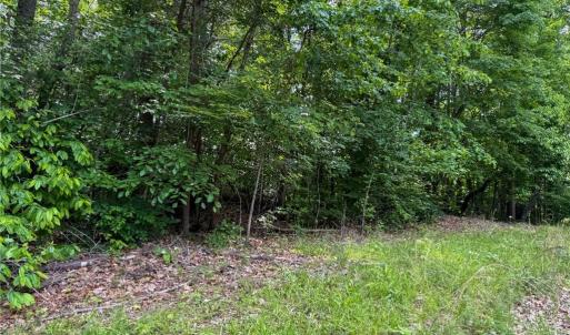 Photo #21 of 144 Jones, Winston-Salem, NC 1.9 acres