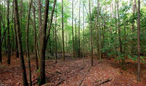 Photo #6 of 1840b US highway 1, Cameron, NC 11.4 acres