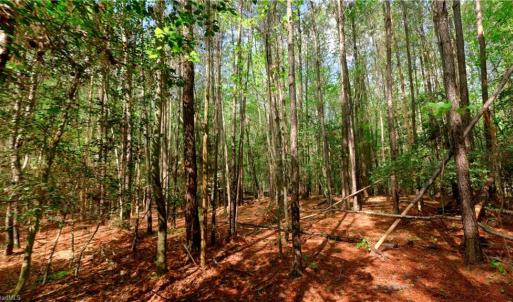 Photo #7 of 1840b US highway 1, Cameron, NC 11.4 acres