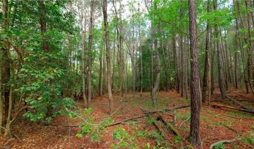 Photo #5 of 1840b US highway 1, Cameron, NC 11.4 acres
