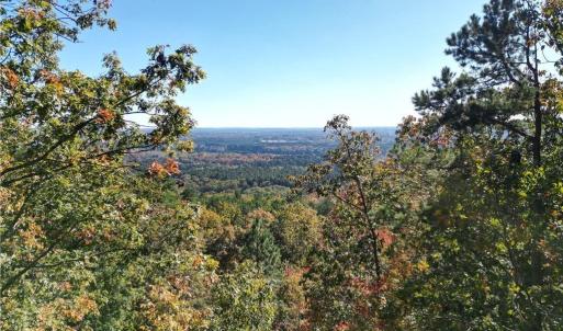 Photo #13 of 232 Sierra Trace, Denton, NC 8.5 acres
