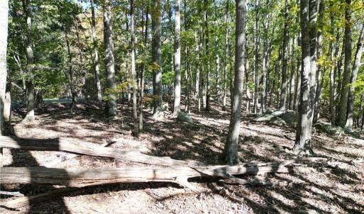 Photo #12 of 232 Sierra Trace, Denton, NC 8.5 acres