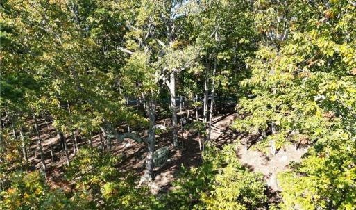 Photo #9 of 232 Sierra Trace, Denton, NC 8.5 acres