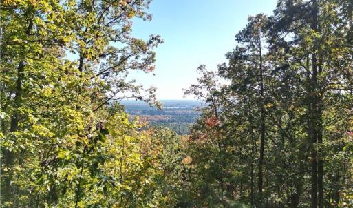Photo #10 of 232 Sierra Trace, Denton, NC 8.5 acres